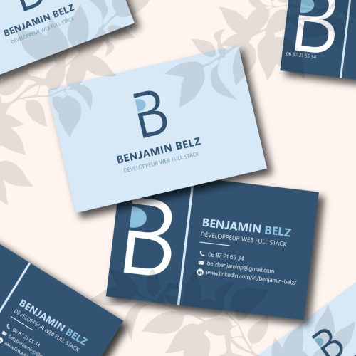 Cartedevisite_BenjaminBelz